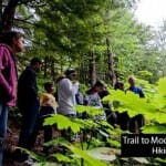 hiking2-for-tours