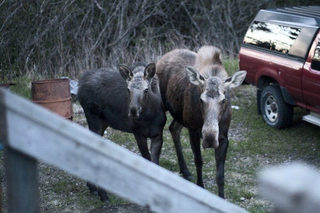 © Brooke Foorman 2013